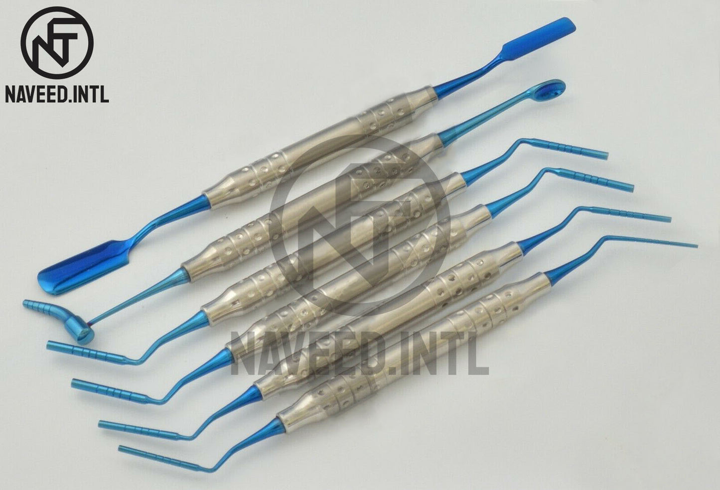 Bone Grafting Set of 6 Units, Premium Surgical and Dental Instruments Quality A+